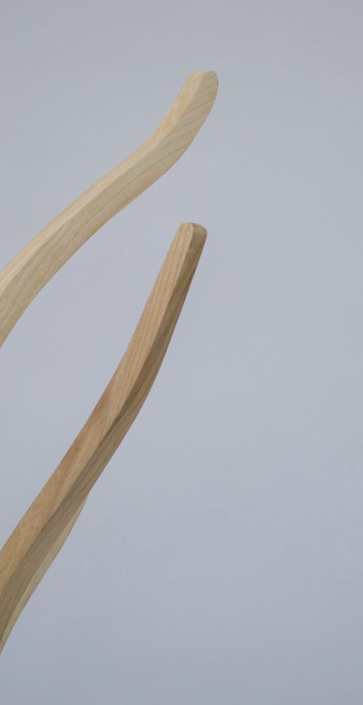 Branch
