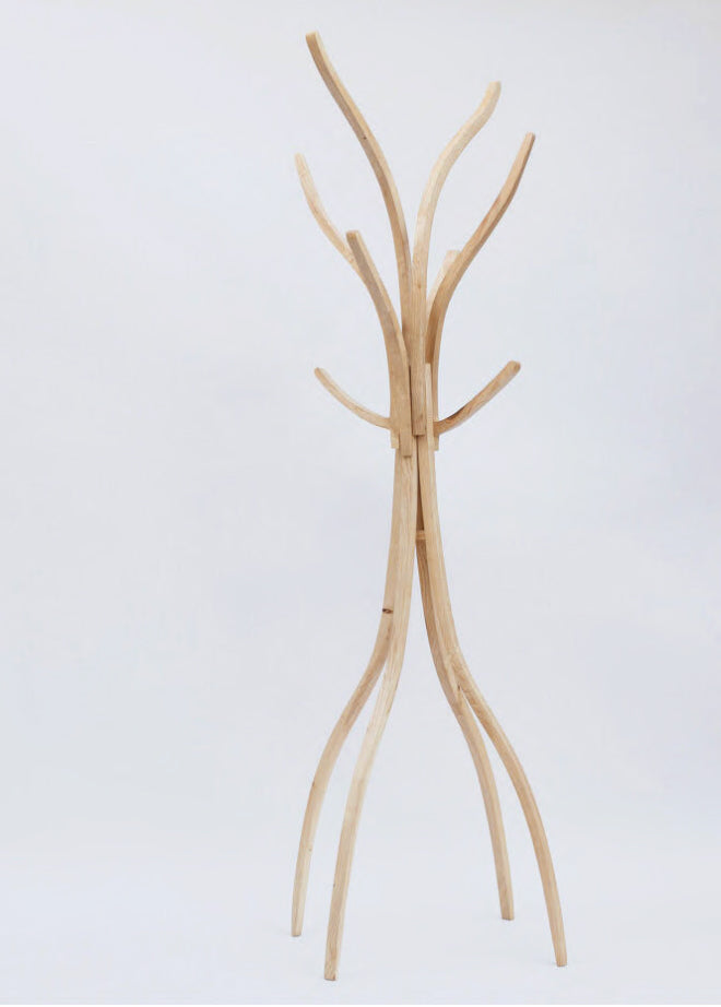 Branch
