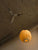Beeswax Bubble Lamp ø50cm